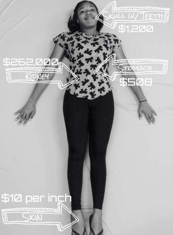 Rayshawna Collier poses as our human body on the back market. Picture and Editing Credit: Esperanza Vargas Macias